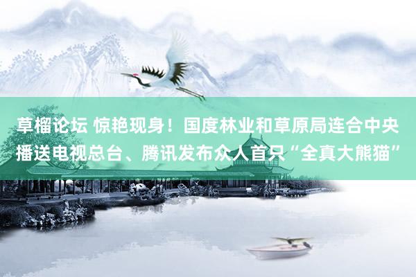 草榴论坛 惊艳现身！国度林业和草原局连合中央播送电视总台、腾讯发布众人首只“全真大熊猫”