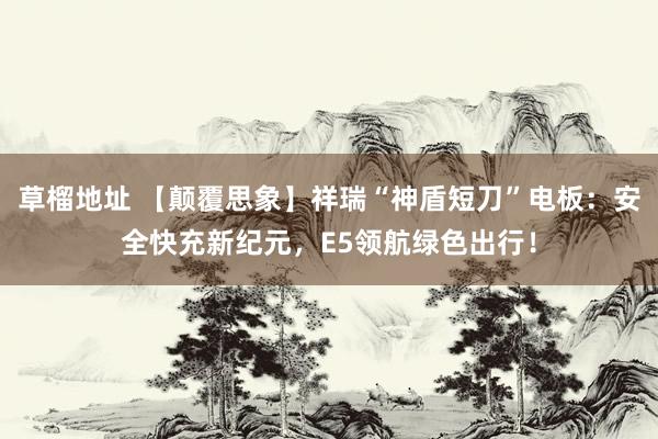草榴地址 【颠覆思象】祥瑞“神盾短刀”电板：安全快充新纪元，E5领航绿色出行！