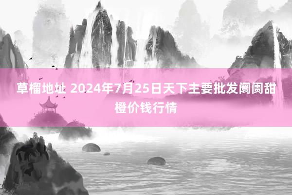 草榴地址 2024年7月25日天下主要批发阛阓甜橙价钱行情