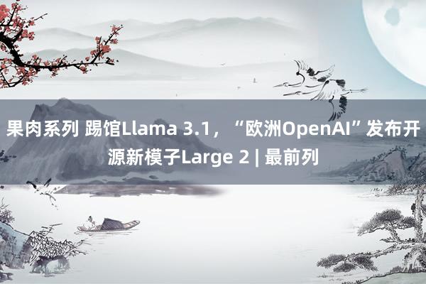 果肉系列 踢馆Llama 3.1，“欧洲OpenAI”发布开源新模子Large 2 | 最前列