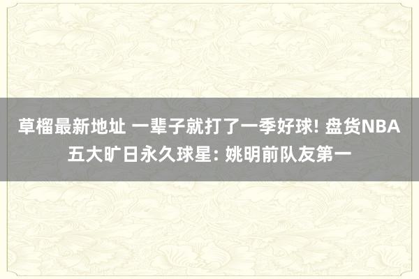 草榴最新地址 一辈子就打了一季好球! 盘货NBA五大旷日永久球星: 姚明前队友第一