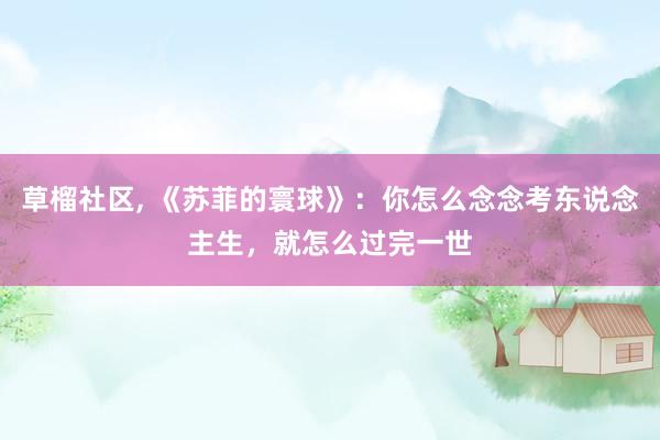 草榴社区, 《苏菲的寰球》：你怎么念念考东说念主生，就怎么过完一世