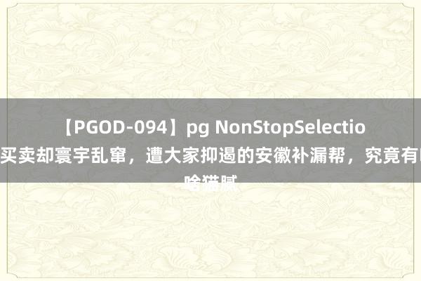 【PGOD-094】pg NonStopSelection 5 没买卖却寰宇乱窜，遭大家抑遏的安徽补漏帮，究竟有啥猫腻