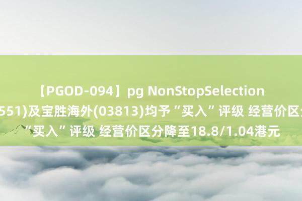 【PGOD-094】pg NonStopSelection 5 高盛：裕元集团(00551)及宝胜海外(03813)均予“买入”评级 经营价区分降至18.8/1.04港元