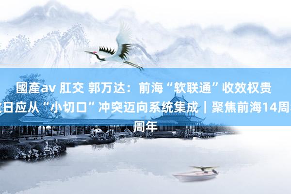 國產av 肛交 郭万达：前海“软联通”收效权贵 改日应从“小切口”冲突迈向系统集成｜聚焦前海14周年