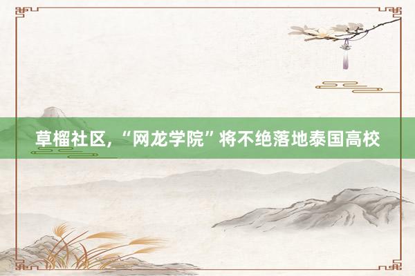 草榴社区, “网龙学院”将不绝落地泰国高校