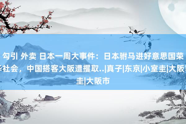 勾引 外卖 日本一周大事件：日本驸马进好意思国荣华社会，中国搭客大阪遭攫取..|真子|东京|小室圭|大阪市