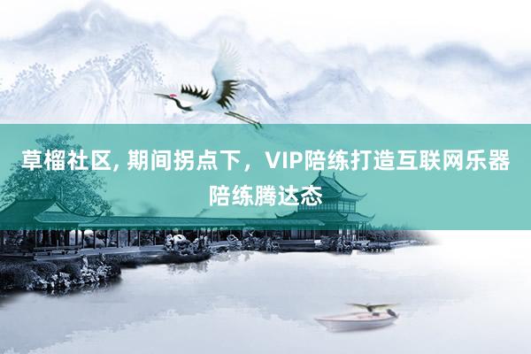 草榴社区, 期间拐点下，VIP陪练打造互联网乐器陪练腾达态