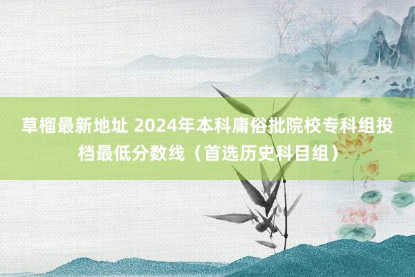 草榴最新地址 2024年本科庸俗批院校专科组投档最低分数线（首选历史科目组）