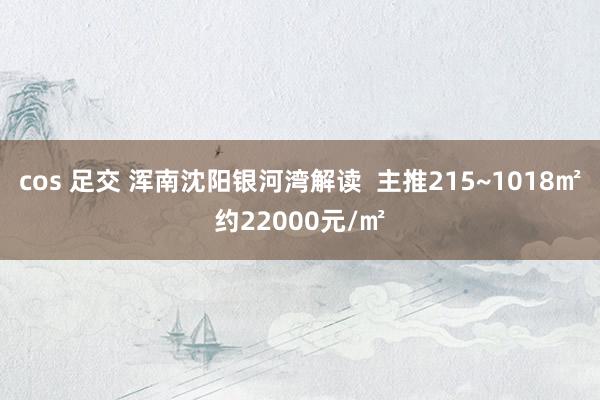 cos 足交 浑南沈阳银河湾解读  主推215~1018㎡约22000元/㎡