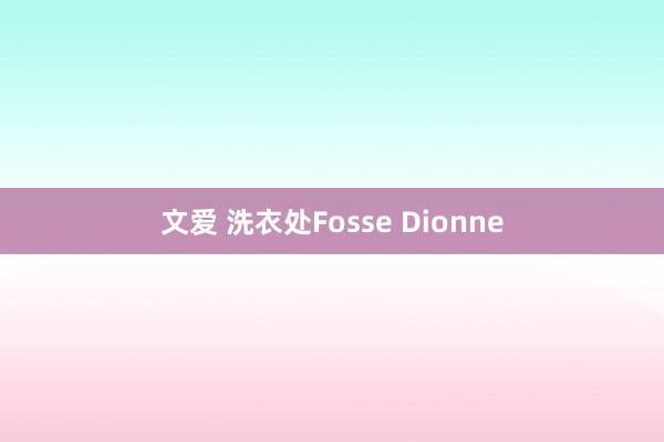 文爱 洗衣处Fosse Dionne