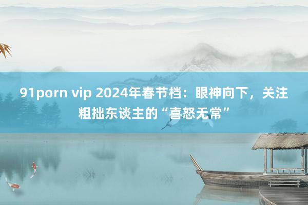91porn vip 2024年春节档：眼神向下，关注粗拙东谈主的“喜怒无常”
