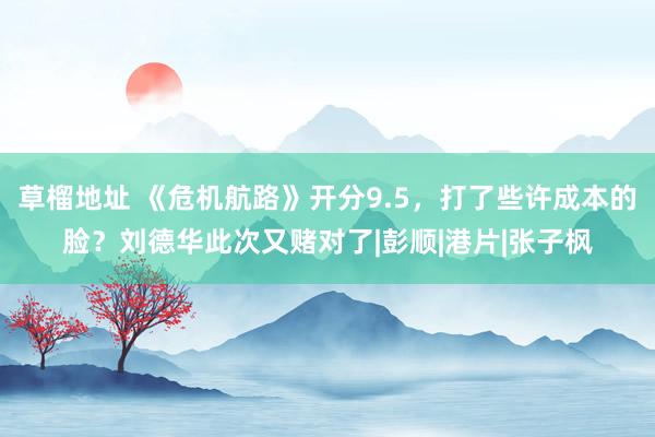 草榴地址 《危机航路》开分9.5，打了些许成本的脸？刘德华此次又赌对了|彭顺|港片|张子枫