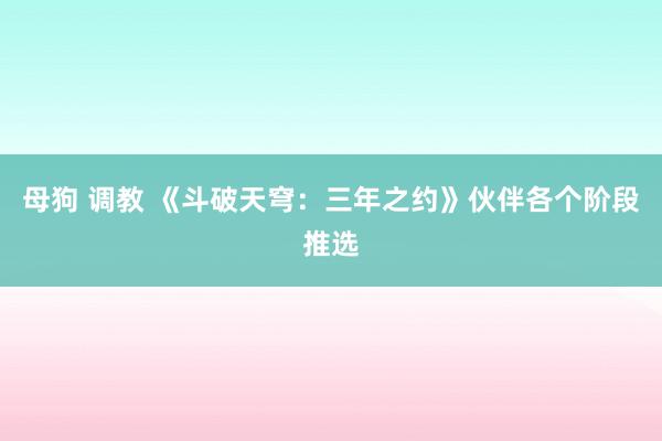 母狗 调教 《斗破天穹：三年之约》伙伴各个阶段推选