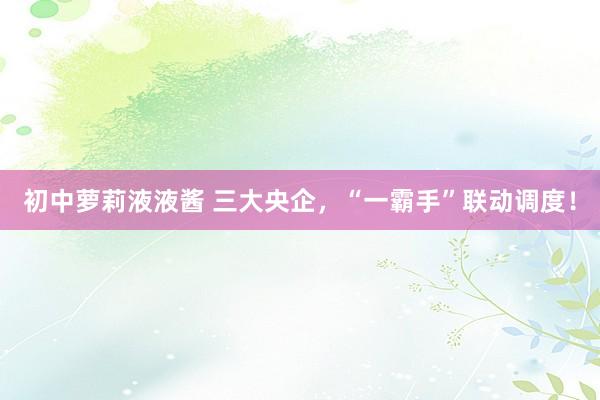 初中萝莉液液酱 三大央企，“一霸手”联动调度！