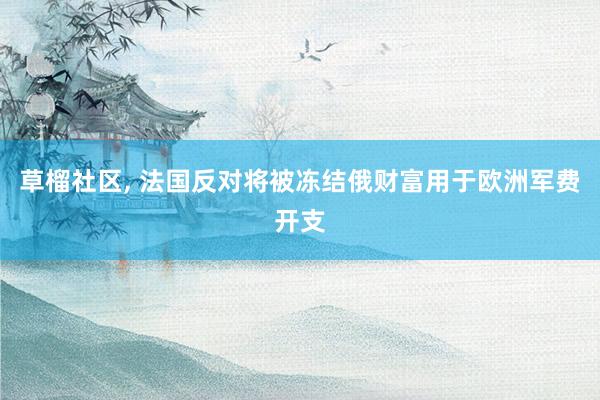 草榴社区， 法国反对将被冻结俄财富用于欧洲军费开支