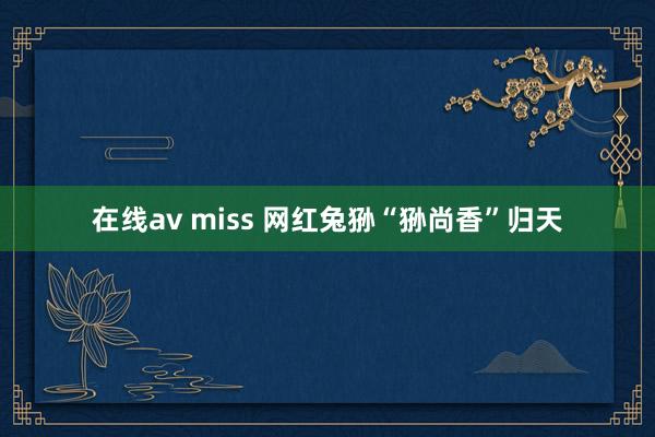 在线av miss 网红兔狲“狲尚香”归天