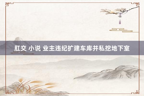 肛交 小说 业主违纪扩建车库并私挖地下室