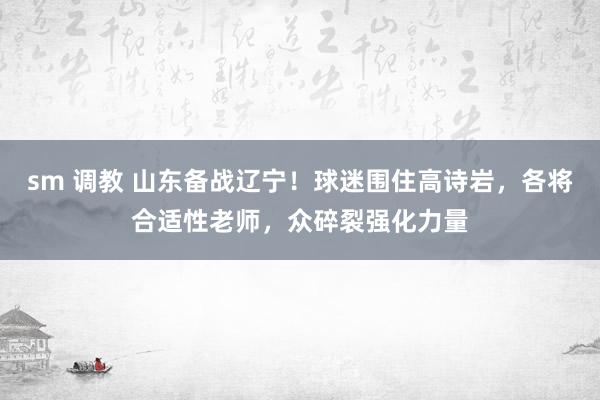 sm 调教 山东备战辽宁！球迷围住高诗岩，各将合适性老师，众碎裂强化力量