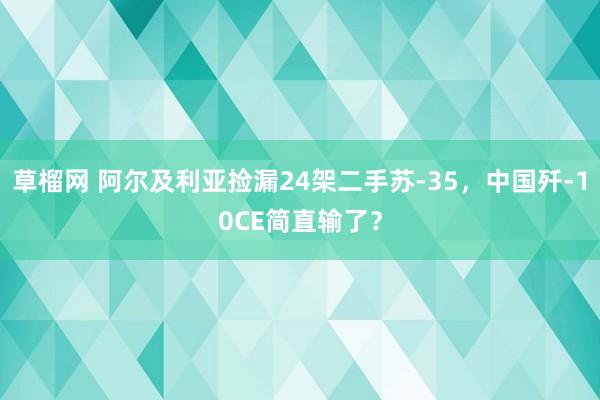 草榴网 阿尔及利亚捡漏24架二手苏-35，中国歼-10CE简直输了？