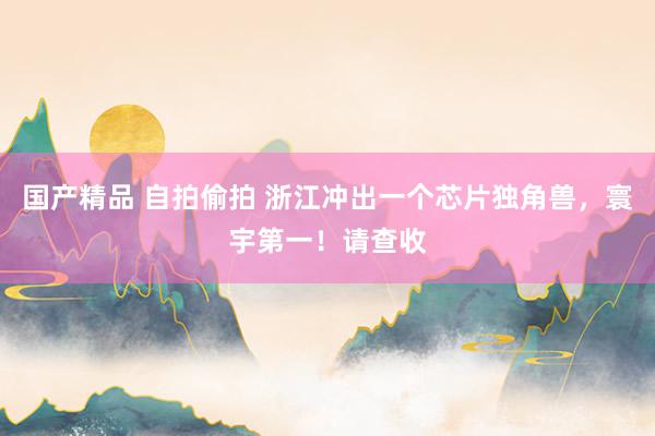 国产精品 自拍偷拍 浙江冲出一个芯片独角兽，寰宇第一！请查收