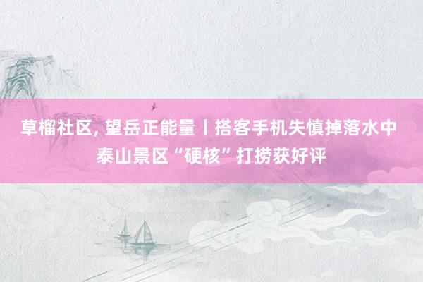 草榴社区， 望岳正能量丨搭客手机失慎掉落水中 泰山景区“硬核”打捞获好评