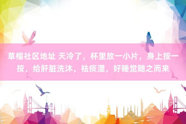 草榴社区地址 天冷了，杯里放一小片，身上按一按，给肝脏洗沐，祛痰湿，好睡觉随之而来
