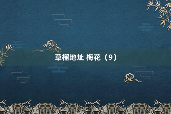 草榴地址 梅花（9）