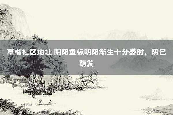 草榴社区地址 阴阳鱼标明阳渐生十分盛时，阴已萌发