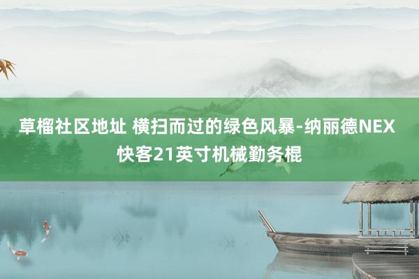 草榴社区地址 横扫而过的绿色风暴-纳丽德NEX 快客21英寸机械勤务棍